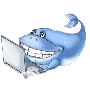 КиТ